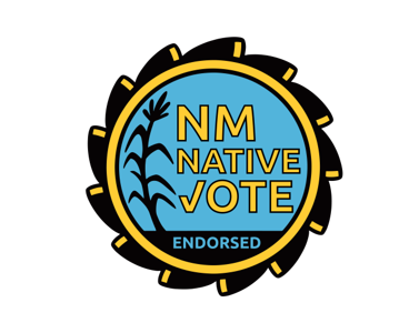 NM Native Vote